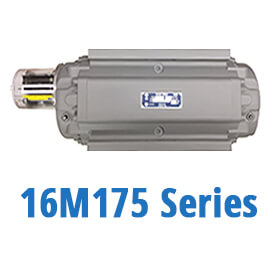 16M175 Series Gas Meters