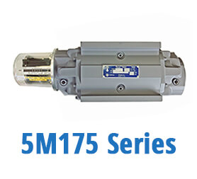5M175 Series Gas Meters