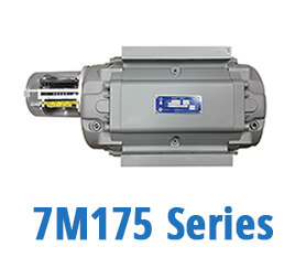7M175 Series Gas Meters