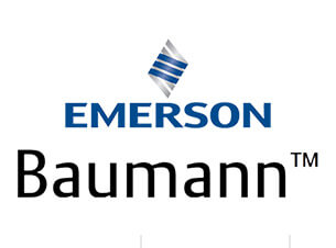 Emerson Baumann Control Valve